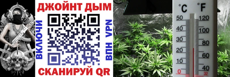 Где купить Пикалёво АМФ  ГАШИШ  Cocaine 