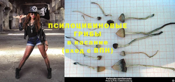 spice Алексин