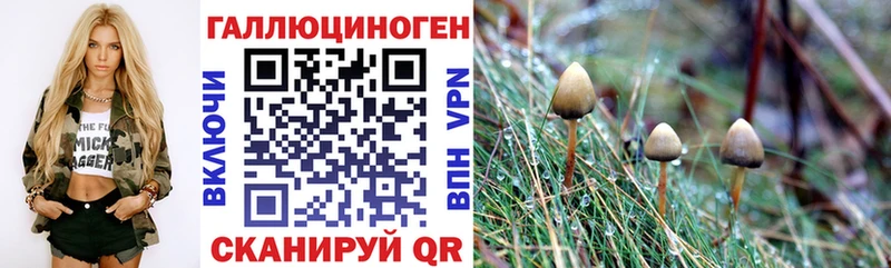 Псилоцибиновые грибы Psilocybine cubensis  купить закладку  Пикалёво 